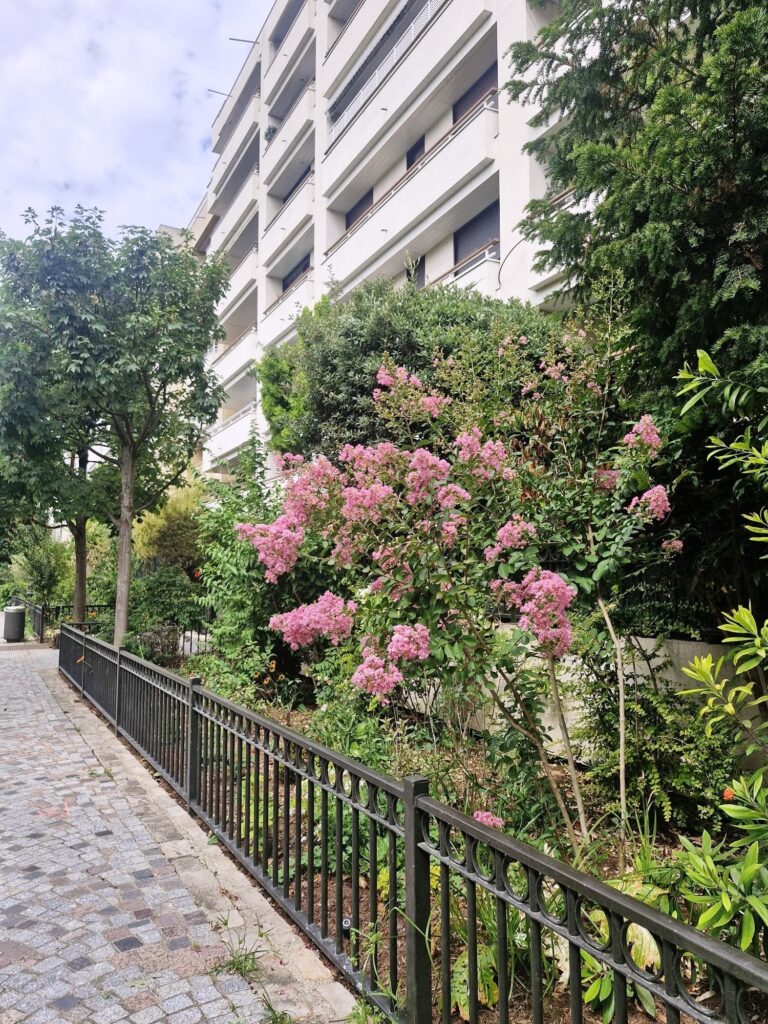 COUP DE CŒUR – ÎLE DE LA JATTE – STUDIO 32 m² (POTENTIEL T2) + BALCON SUD-OUEST