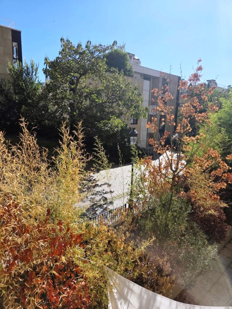 COUP DE CŒUR – ÎLE DE LA JATTE – STUDIO 32 m² (POTENTIEL T2) + BALCON SUD-OUEST
